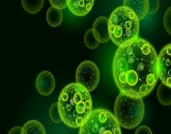 PGP in Data Science and Business Analytics
