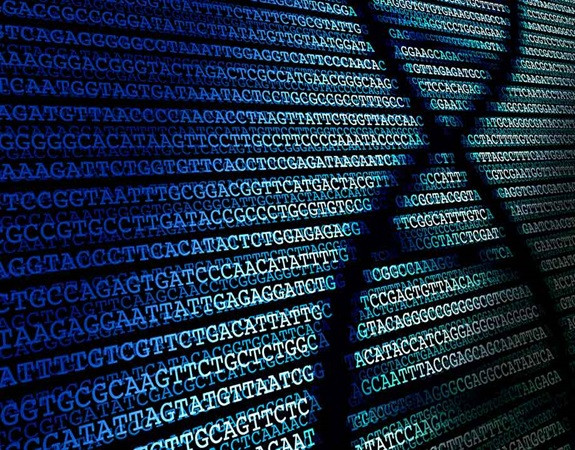 PGP in Data Science and Business Analytics
